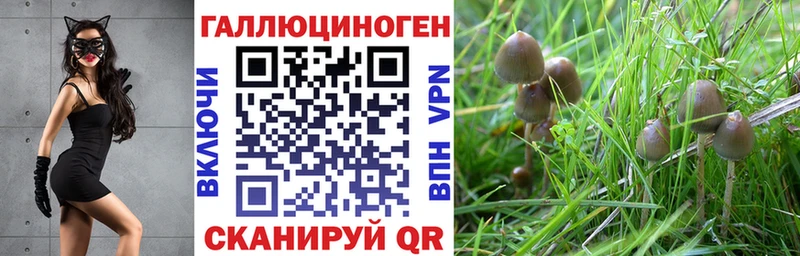 Галлюциногенные грибы прущие грибы  Верхнеуральск 
